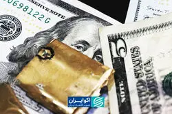 صندوق‌های ارزی چه تفاوتی با خرید دلار دارند؟