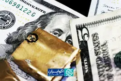 صندوق‌های ارزی چه تفاوتی با خرید دلار دارند؟