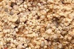 سهمی که در روز ریزش بازار سهام مثبت بود / افزایش مبلغ فروش به واسطه افزایش نرخ