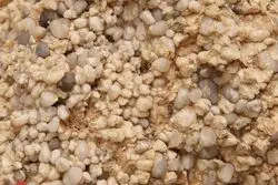 سهمی که در روز ریزش بازار سهام مثبت بود / افزایش مبلغ فروش به واسطه افزایش نرخ