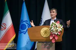 10 نقد به سیاست‌های ارزی فرزین / از آمار اشتباه تا انحصار برای یک بانک خاص