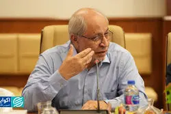 نیلی: تورم پایین و توزیع متوازن درآمد شرط توسعه است