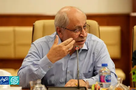 نیلی: تورم پایین و توزیع متوازن درآمد شرط توسعه است