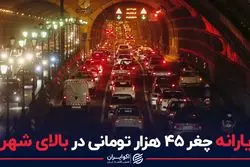 یارانه چغر ۴۵ هزار تومانی ثروتمندان