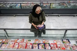 هشدار مرغداران درباره سقوط تولید