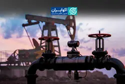 راز ماندگاری نفت ۱۰۰ دلاری
