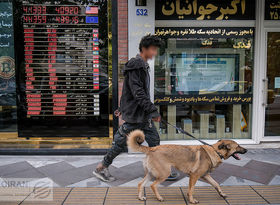 3 علت نوسان هیجانی بازار ارز