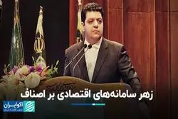 زهر سامانه‌های اقتصادی بر اصناف
