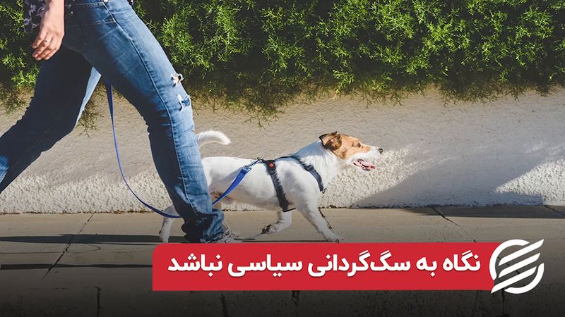 نگاه به سگ گردانی سیاسی نباشد