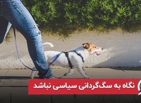 نگاه به سگ گردانی سیاسی نباشد