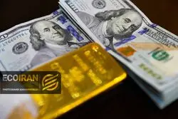 قیمت جدید طلا، دلار و سکه/ همه قیمت ها بر مدار صعود + جدول