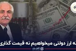 نه ارز دولتی می‌خواهیم نه قیمت‌گذاری