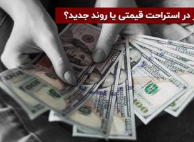 دلار در استراحت قیمتی یا روند جدید؟
