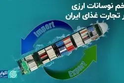 زخم نوسانات ارزی بر تجارت غذای ایران