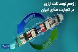 زخم نوسانات ارزی بر تجارت غذای ایران