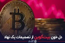 دل خون بیتکوین از تصمیمات یک نهاد