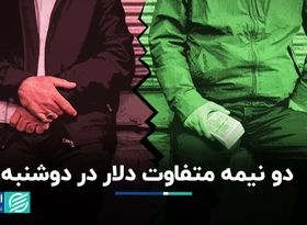  دو نیمه متفاوت دلار در دوشنبه