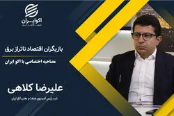 بازیگران اقتصاد ناتراز برق