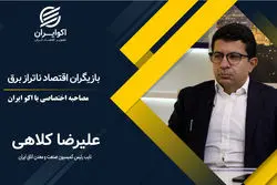 بازیگران اقتصاد ناتراز برق