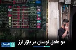 دو عامل نوسان در بازار ارز