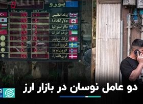 دو عامل نوسان در بازار ارز