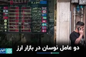دو عامل نوسان در بازار ارز