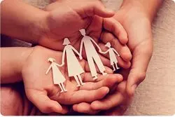 بیمه تکمیلی تینت؛ تکیه‌گاهی مطمئن برای زیست‌بوم نوآوری ایران