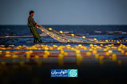 خط مبدأ چگونه شیلات ایران را تهدید می‌کند؟