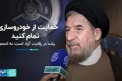 حمایت از خودروسازی را تمام کنید