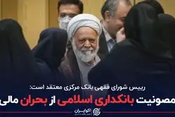 مصونیت بانکداری اسلامی از بحران مالی