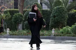 شینا انصاری:‌ مدیریت آب‌های فرامرزی از طریق وزارت خارجه در حال پیگیری است