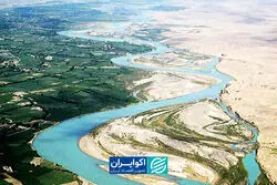 بی‌صدا‌ترین قربانی کم‌آبی