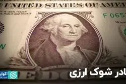 مادر شوک ارزی