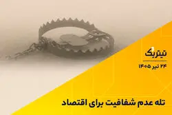تله عدم شفافیت برای اقتصاد