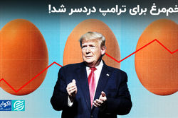 دردسر تخم مرغ برای ترامپ/ چرا تخم‌مرغ در آمریکا مثل سیب‌زمینی در ایران شد؟