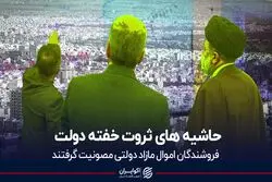 حاشیه های ثروت خفته دولت