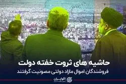 حاشیه های ثروت خفته دولت