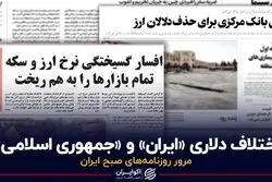 اختلاف دلاری «ایران» و «جمهوری اسلامی»