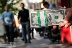 عامل انتظاری سوخت نوسانات افزایشی دلار