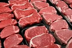 باخت ترامپ به استرالیا