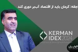 سلاجقه: کرمان توان سرمایه‌گذاری اقتصاد آب‌بر را ندارد 