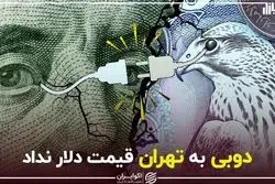 دوبی به تهران قیمت دلار نداد