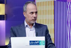 توکلی کاشی: راه‌اندازی صندوق‌های ارزی با خطر شوک ارزی همراه است