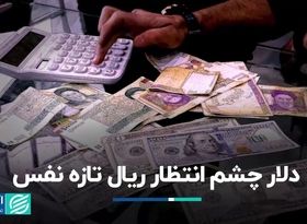 دلار چشم انتظار ریال تازه نفس