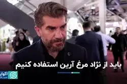 باید از نژاد مرغ آرین استفاده کنیم