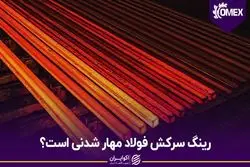 رینگ سرکش فولاد مهار شدنی است؟