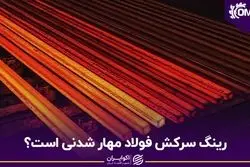 رینگ سرکش فولاد مهار شدنی است؟