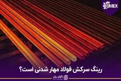 رینگ سرکش فولاد مهار شدنی است؟