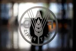 هشدار فائو: رکودشکنی هزینه‌های واردات مواد غذایی  