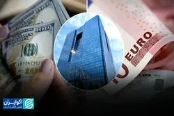 سیف: ارز در ایران مدعیان زیادی دارد/ تصمیم گیری فقط با بانک مرکزی نیست